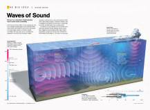 National Geographic 
Noisy Ocean