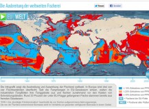 WWF 
Weltweiter Fischfang