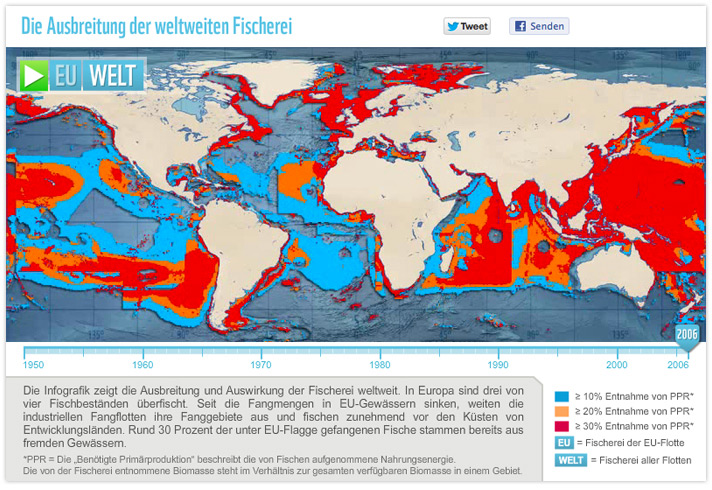 WWF <br />Weltweiter Fischfang