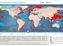 WWF <br />Weltweiter Fischfang