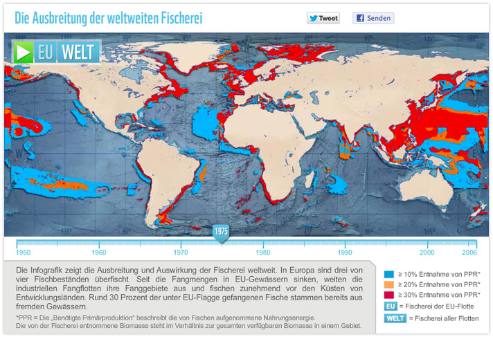 WWF <br />Weltweiter Fischfang