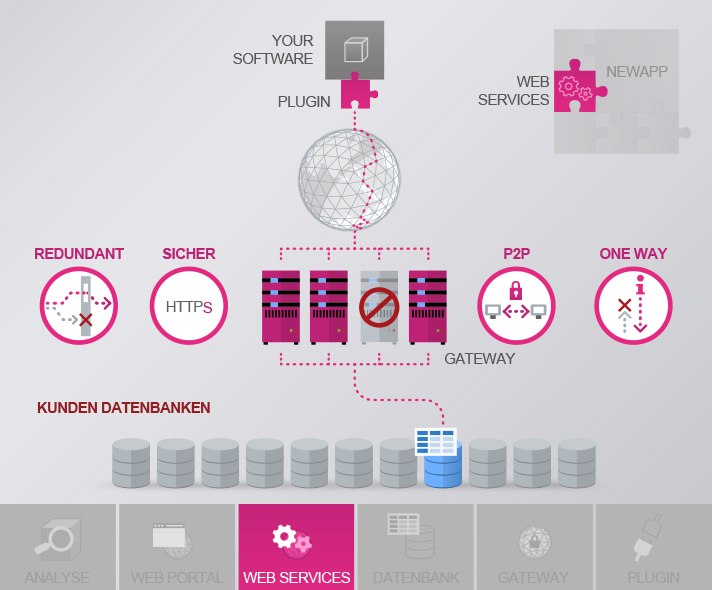 Vectorsoft – SaaS <br />Dienstleistung erklärt