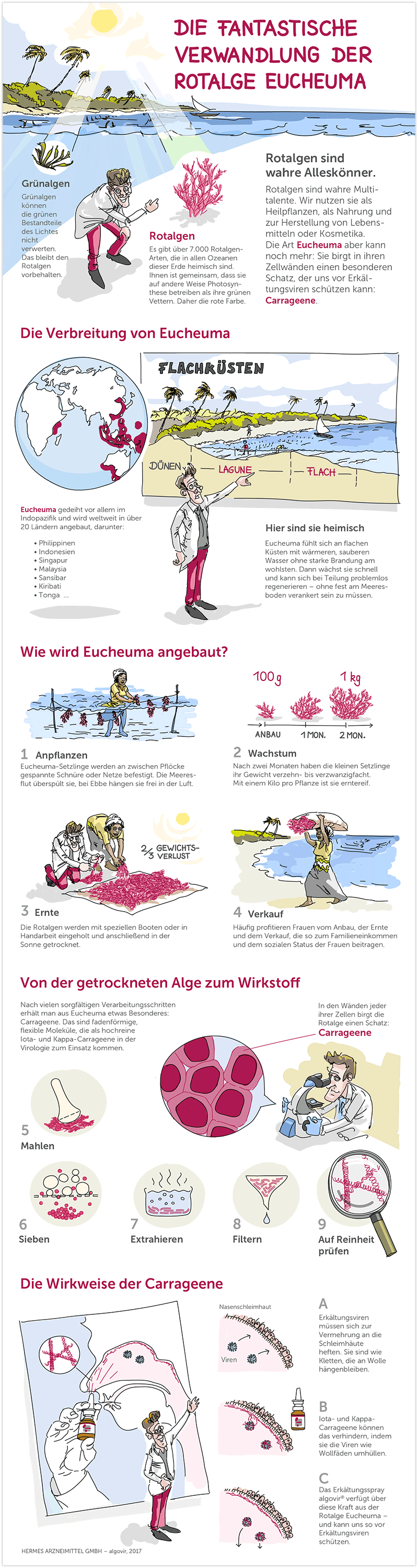 Hermes Arzneimittel <br />Multi Channel Infografik