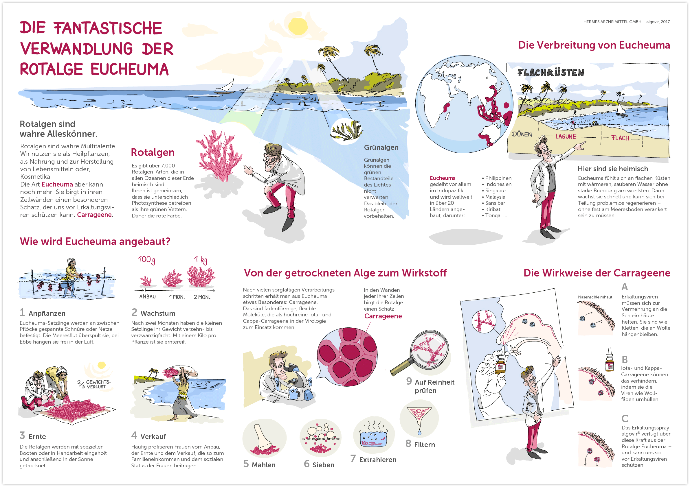 Hermes Arzneimittel <br />Multi Channel Infografik